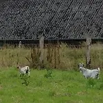 Vakantiehuis G2366