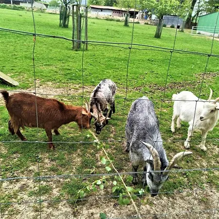 De France - La Sellerie Ypreville-Biville