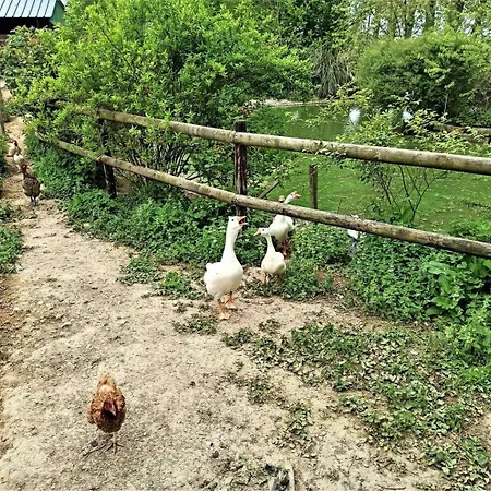 Ferienhaus Gite Gites De France - La Sellerie