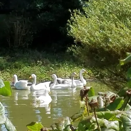 Ferienhaus Gite Gites De France - La Sellerie Ypreville-Biville