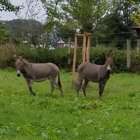 Gite Gites De France - La Sellerie Ferienhaus Ypreville-Biville