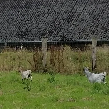 Ferienhaus Gite Gites De France - La Sellerie