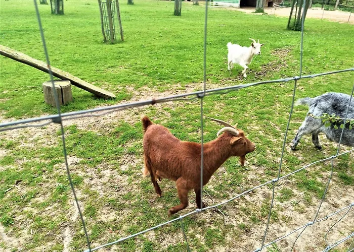 Holiday home De France - La Sellerie Ypreville-Biville