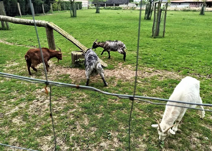 Ferienhaus Gite Gites De France - La Sellerie Ypreville-Biville