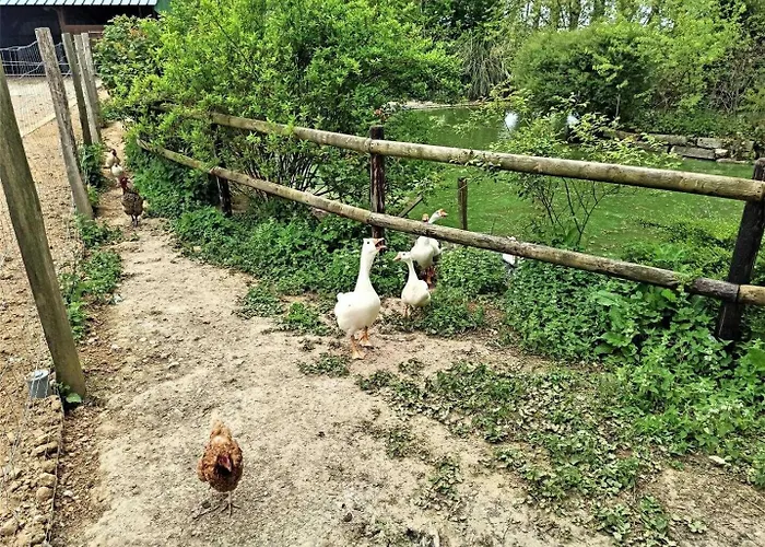Ferienhaus Gite Gites De France - La Sellerie