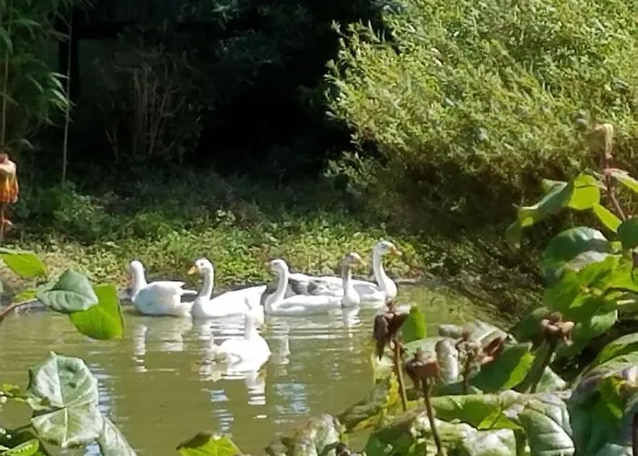 Holiday home De France - La Sellerie Ypreville-Biville