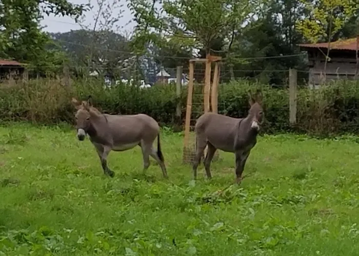 Gite Gites De France - La Sellerie Ferienhaus Ypreville-Biville