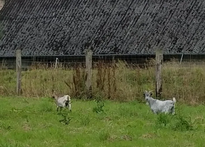 Holiday home De France - La Sellerie